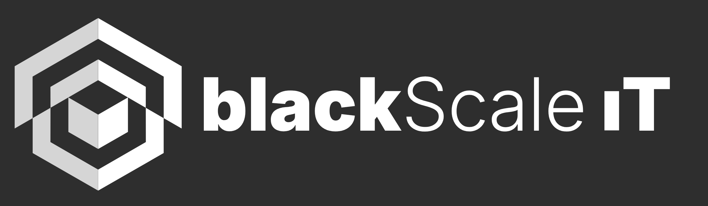 blackScale IT